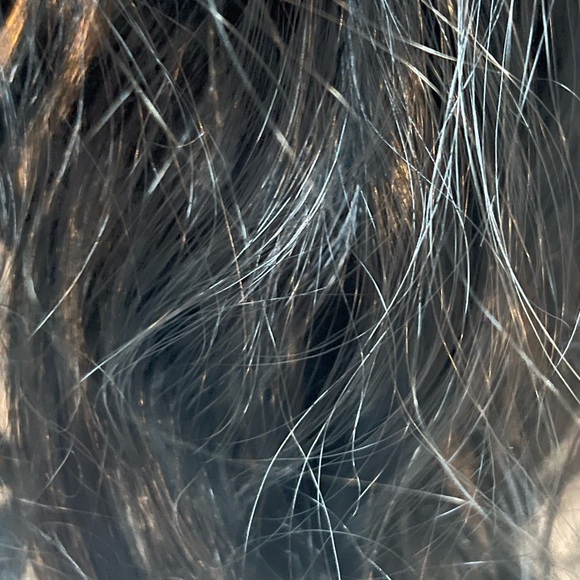 Elegant Black Hair Extension Cap - Picture 3 of 6